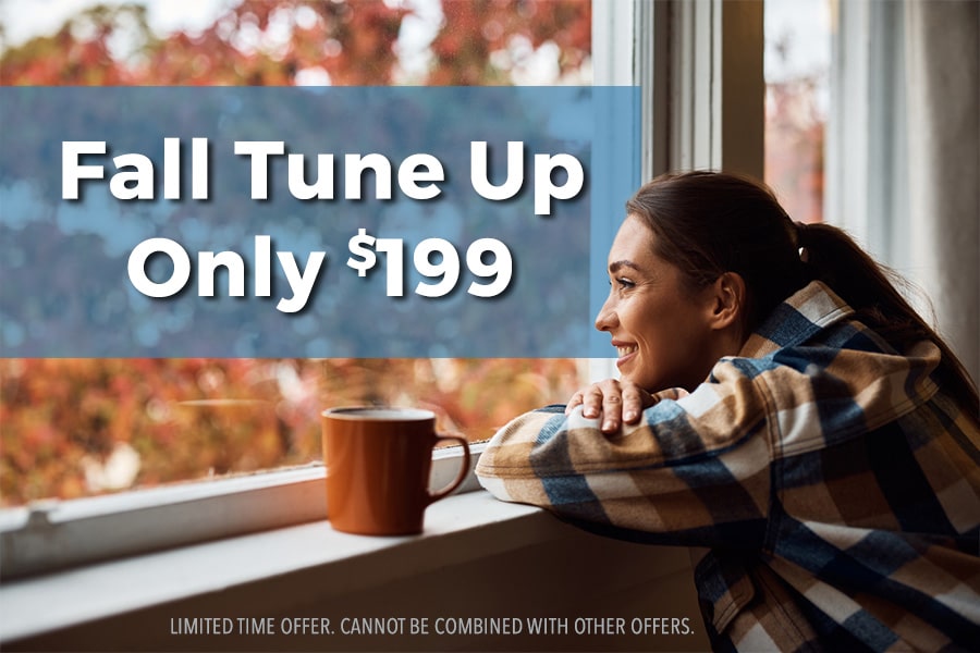 Fall Tune Up Special $199